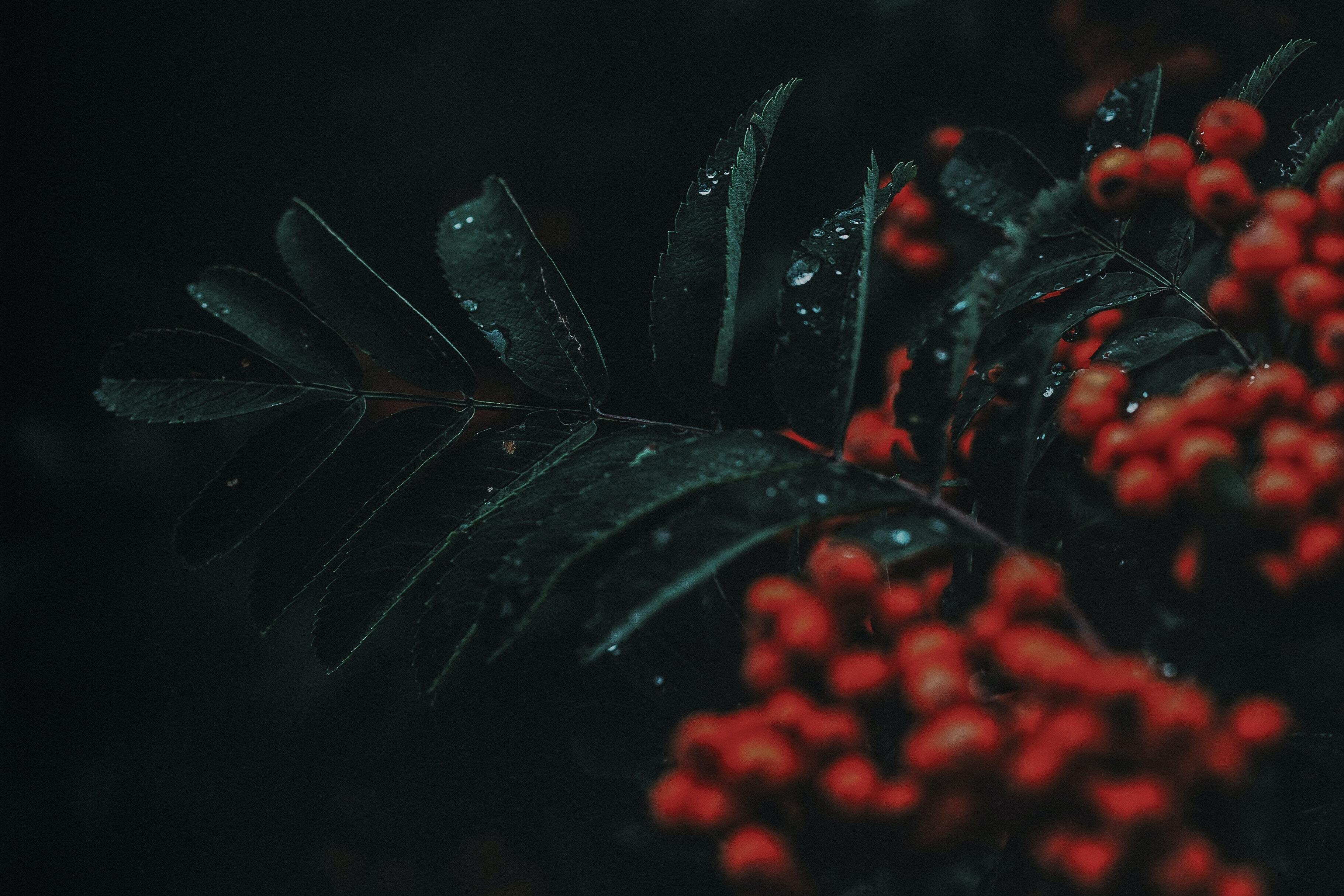 Projekts sadarbībā ar LIAA par ”Vizuālās identitātes ievērošanu”